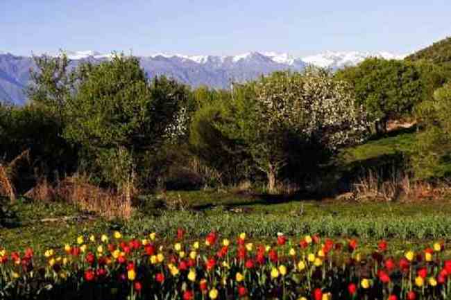 新疆新源风光,图五