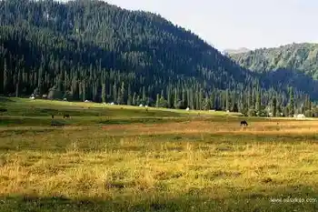 新疆库尔德宁风光,图二