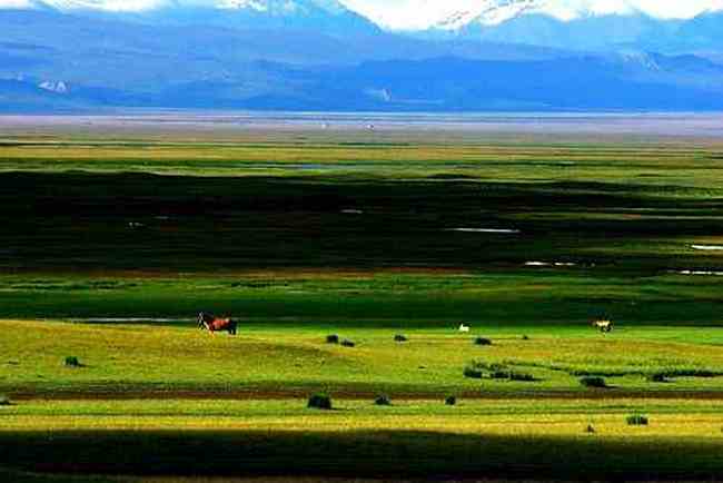 新疆巴音布鲁克草原,图九
