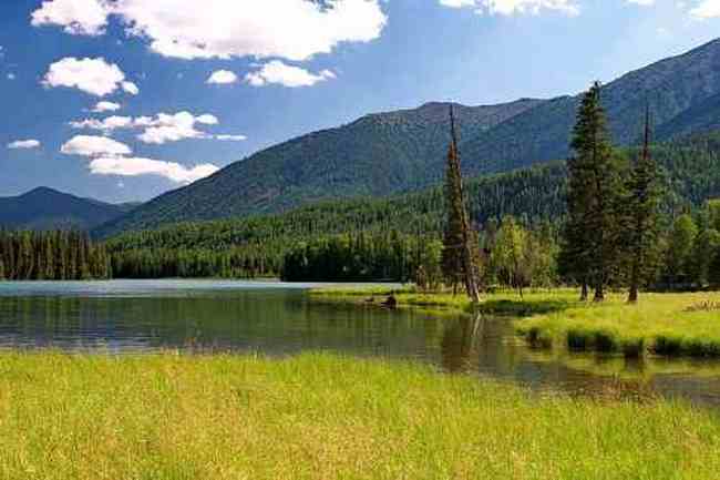 新疆喀纳斯风光,图十三