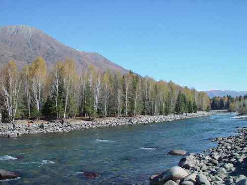 阿尔泰山,图十