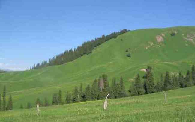 新疆伊犁风光,图一