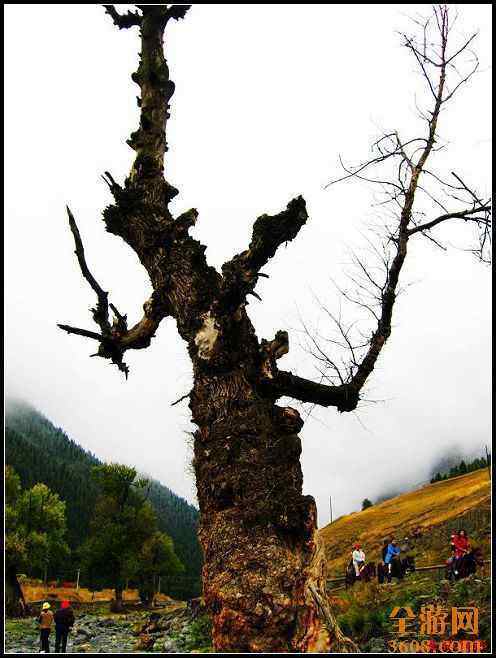 南山风景区,图十