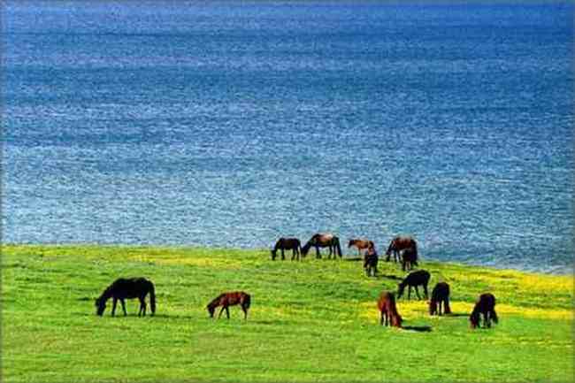 新疆依犁风光,图十