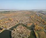 泽普金胡杨公园