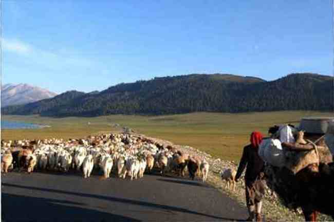 新疆霍城风光,图七