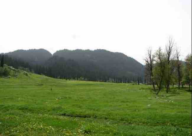 新疆恰西河谷风光,图五