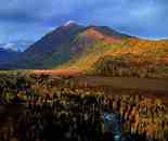 新疆喀納斯湖畔