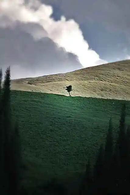 新疆巴音布鲁克草原