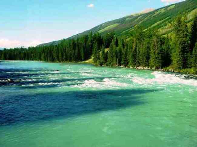 新疆喀纳斯风光,图九