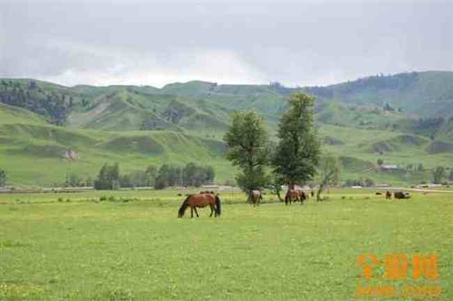 我的家乡新源,图十一
