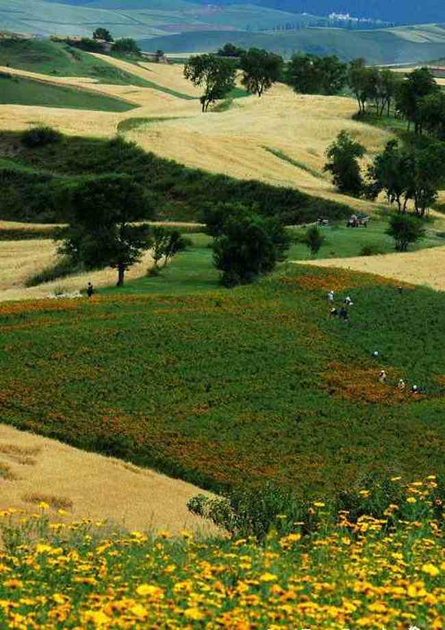 新疆江不拉克風光,圖九