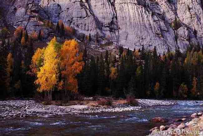 新疆-可可托海,图十