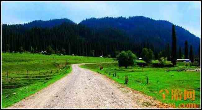 新疆库尔德宁,图十