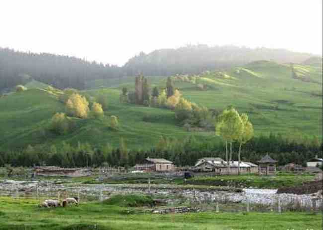 新疆恰西河谷风光,图十