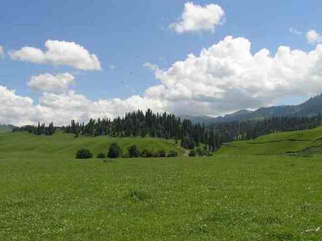 新疆拉那提草原,图一