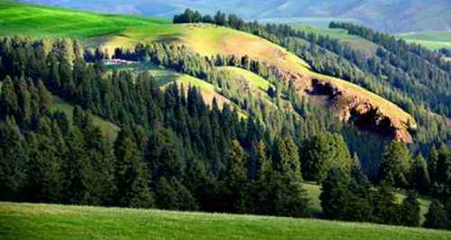 昌吉风光,图十三