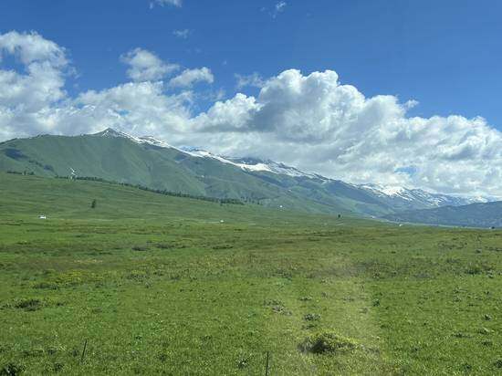 六月禾木村景色