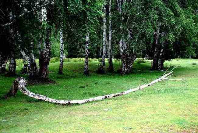 新疆喀那斯风光,图四