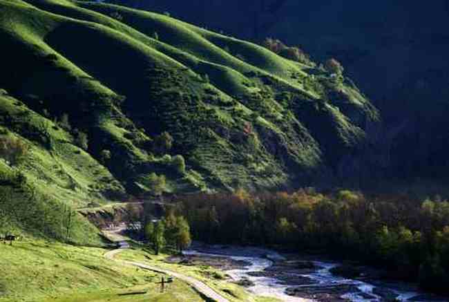 新疆库尔德宁风光,图九