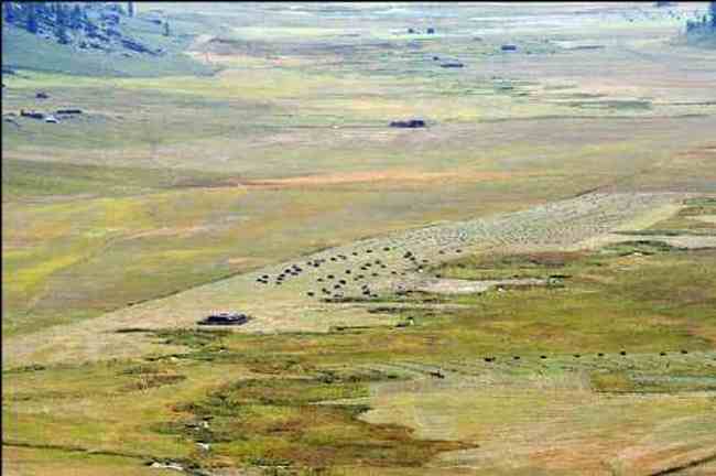 新疆禾木风光,图七