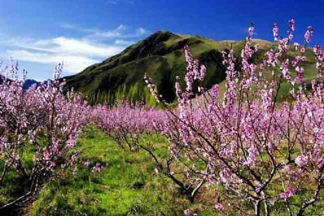 新疆新源风光,图十三