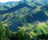 新疆那拉提風光