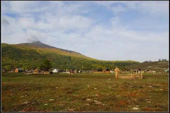 喀纳斯风光组图