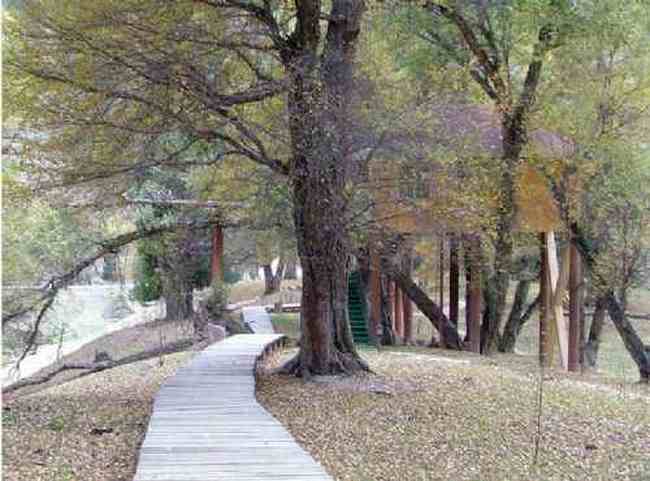 新疆大莫乎尔转场,图十六