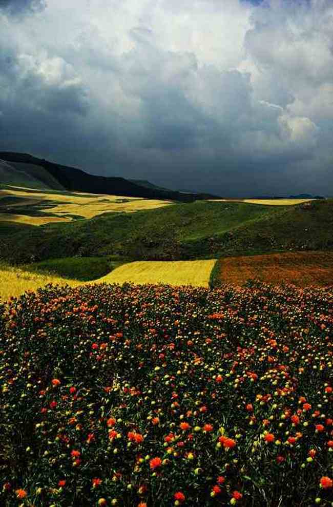 新疆刀條嶺風(fēng)光,圖一