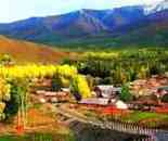 中國西北第一村——白哈巴