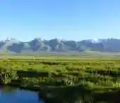 伊犁草原风光