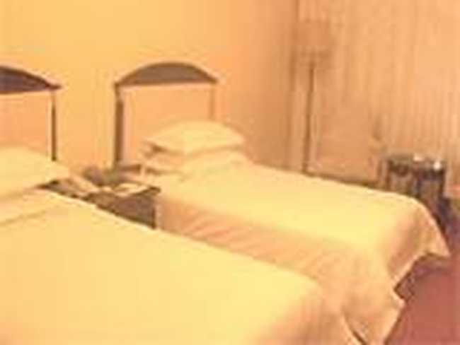 华辰国际大酒店(Huachen international hotel),图三