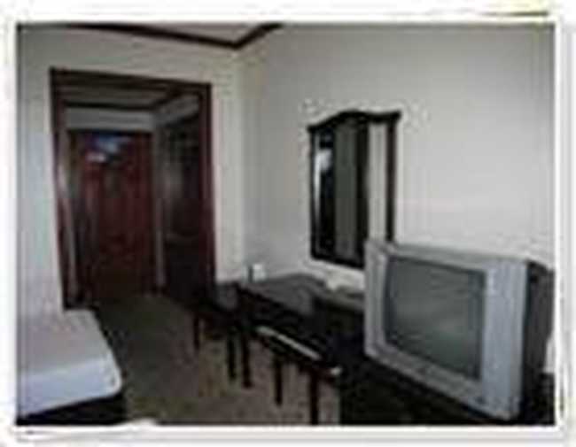 电力大酒店,图二