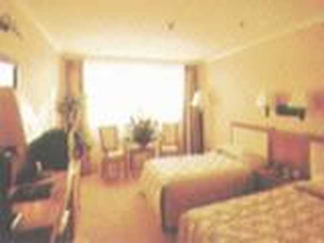 绿洲饭店(Oasis Hotel),图三