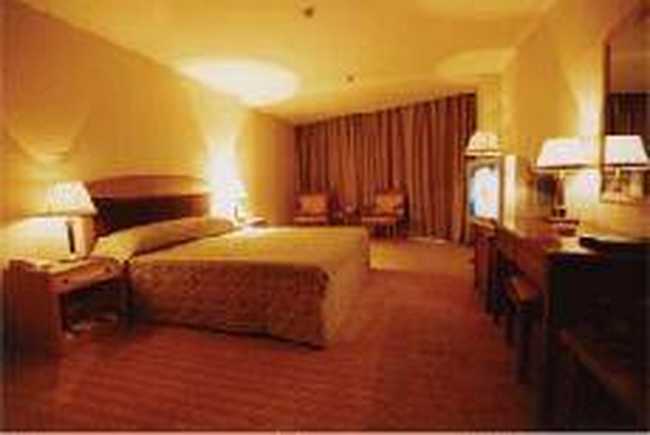 世纪大酒店,图二