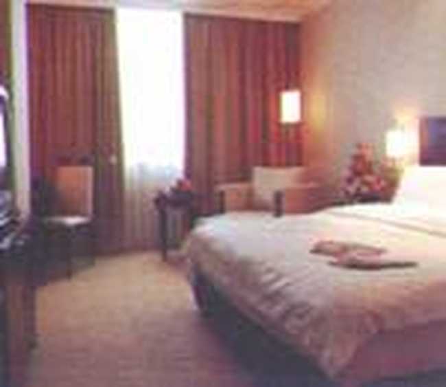 天域凯莱大酒店,图三