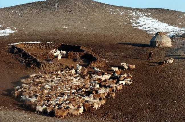 阿勒泰概况,图五
