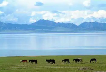 伊犁州概况,图五