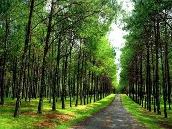 昌吉州概况,图三