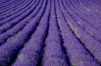 伊犁州概况,图六