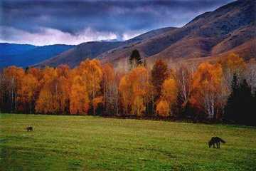 阿勒泰概况,图三