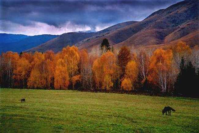 阿勒泰概况,图三