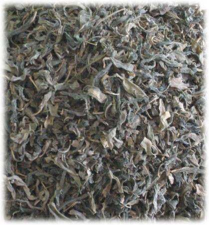 罗布麻茶