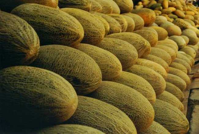 哈密瓜,图三