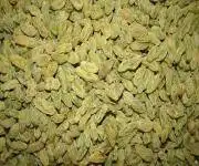 新疆无核白葡萄干