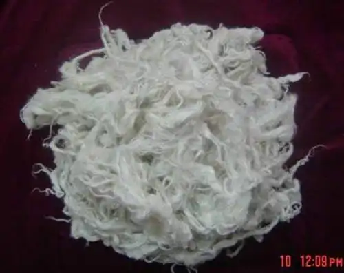 罗布麻面积分布最广的省区