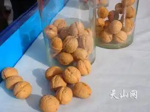 品种最优的核桃