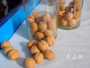 品种最优的核桃,图一