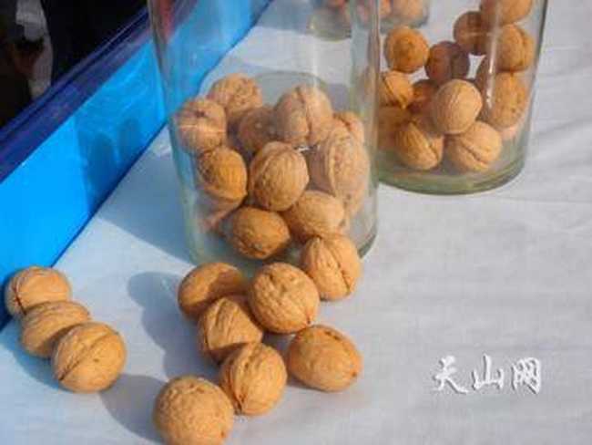 品种最优的核桃,图一